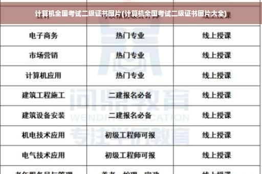 计算机全国考试二级证书图片(计算机全国考试二级证书图片大全)