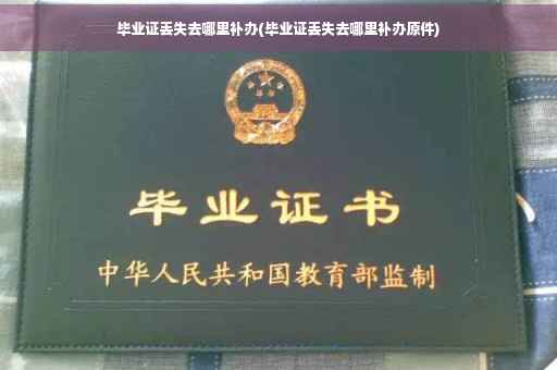 毕业证丢失去哪里补办(毕业证丢失去哪里补办原件)