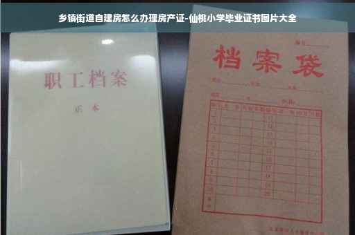 乡镇街道自建房怎么办理房产证-仙桃小学毕业证书图片大全
