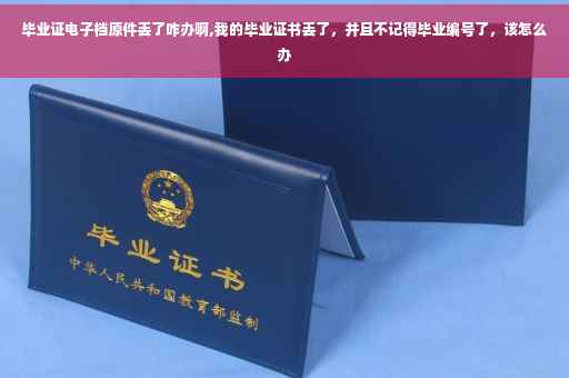 毕业证电子档原件丢了咋办啊,我的毕业证书丢了，并且不记得毕业编号了，该怎么办