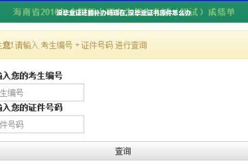 没毕业证还能补办吗现在,没毕业证书原件怎么办