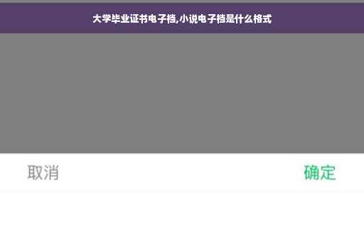 大学毕业证书电子档,小说电子档是什么格式