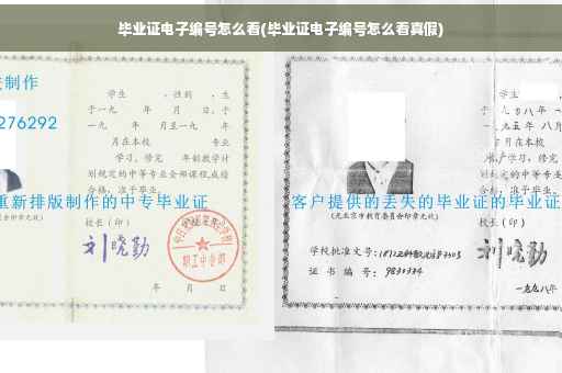毕业证电子编号怎么看(毕业证电子编号怎么看真假)