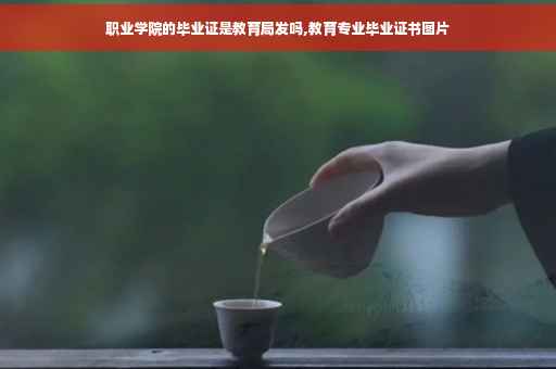 职业学院的毕业证是教育局发吗,教育专业毕业证书图片
