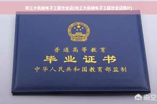 哈工大机械电子工程毕业证(哈工大机械电子工程毕业证图片)