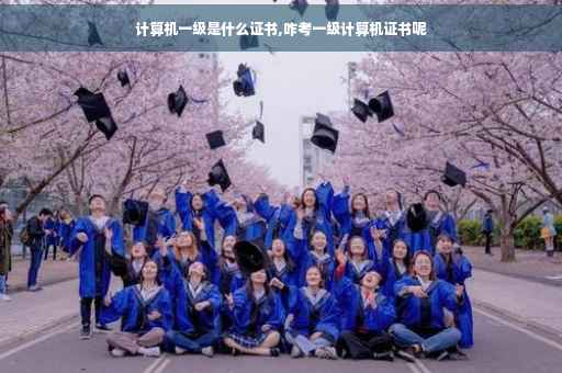 计算机一级是什么证书,咋考一级计算机证书呢