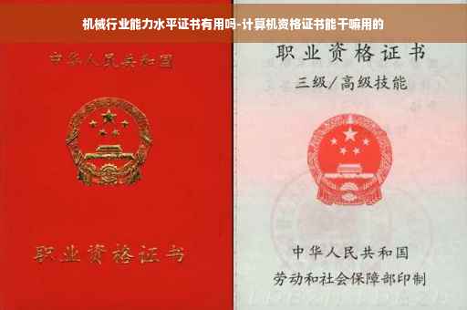 机械行业能力水平证书有用吗-计算机资格证书能干嘛用的