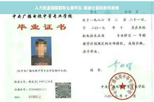 人力资源保障部怎么查学历-国家计算机软件资格