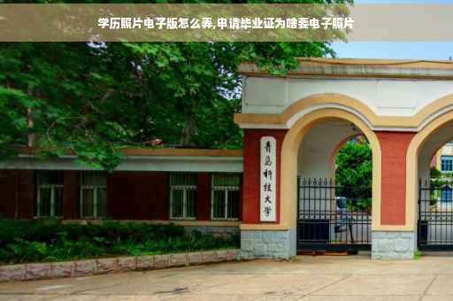 学历照片电子版怎么弄,申请毕业证为啥要电子照片