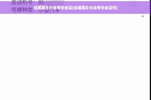在哪里补办自考毕业证(在哪里补办自考毕业证书)