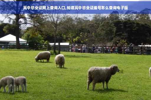 高中毕业证网上查询入口,知道高中毕业证编号怎么查询电子版