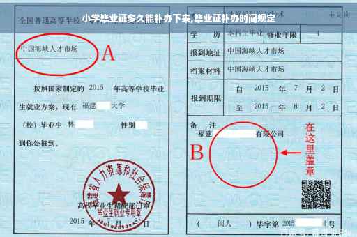 小学毕业证多久能补办下来,毕业证补办时间规定