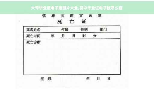 大专毕业证电子版图片大全,初中毕业证电子版怎么查