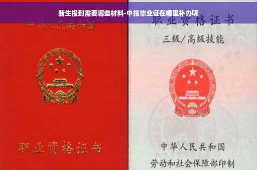 新生报到需要哪些材料-中技毕业证在哪里补办呢