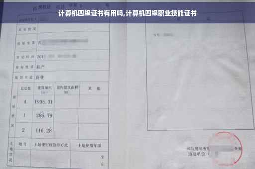 计算机四级证书有用吗,计算机四级职业技能证书