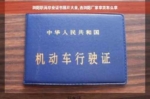 浏阳职高毕业证书图片大全,去浏阳厂家拿货怎么拿