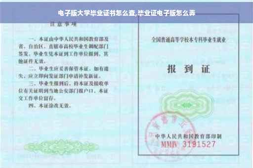 电子版大学毕业证书怎么查,毕业证电子版怎么弄