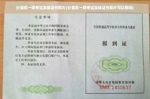 计算机一级考试实体证书照片(计算机一级考试实体证书照片可以换吗)