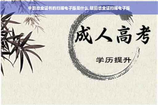 中职毕业证书的扫描电子版是什么,破旧毕业证扫描电子版