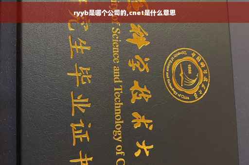 ryyb是哪个公司的,cnet是什么意思