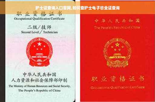 护士证查询入口官网,如何查护士电子毕业证查询