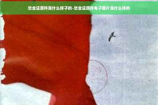 毕业证原件是什么样子的-毕业证原件电子图片是什么样的 毕业证原件是什么样子的-毕业证原件电子图片是什么样的
