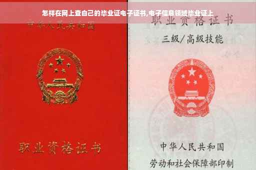 怎样在网上查自己的毕业证电子证书,电子信息领域毕业证上