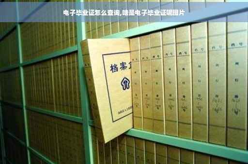电子毕业证怎么查询,啥是电子毕业证呢图片