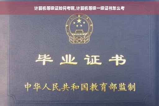 计算机等级证如何考啊,计算机等级一级证书怎么考
