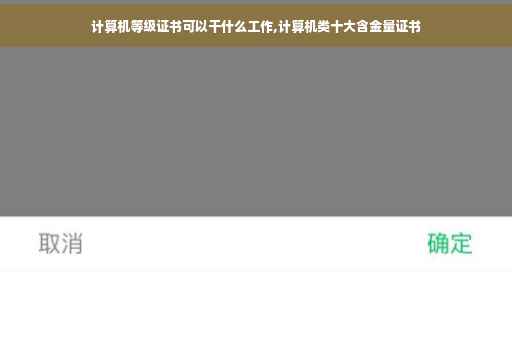 计算机等级证书可以干什么工作,计算机类十大含金量证书