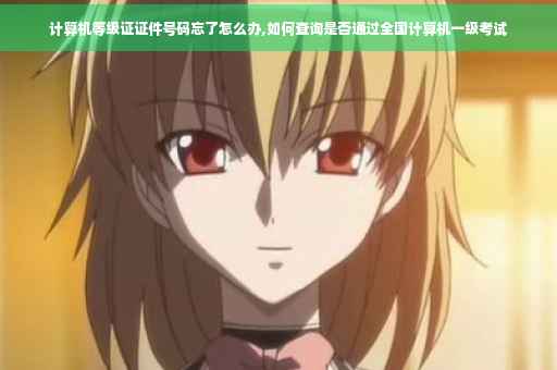 计算机等级证证件号码忘了怎么办,如何查询是否通过全国计算机一级考试