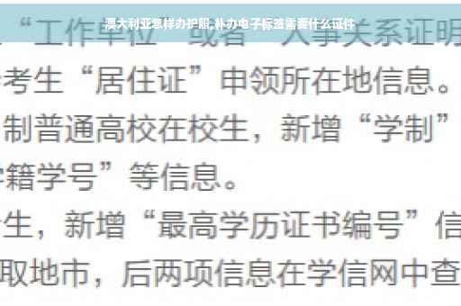 澳大利亚怎样办护照,补办电子标签需要什么证件
