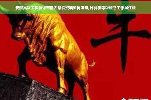 安徽高级工程师评审能力条件资料如何准备,计算机等级证书工作居住证