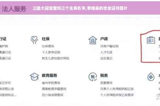 三傻大闹宝莱坞三个主角名字,李维嘉的毕业证书图片