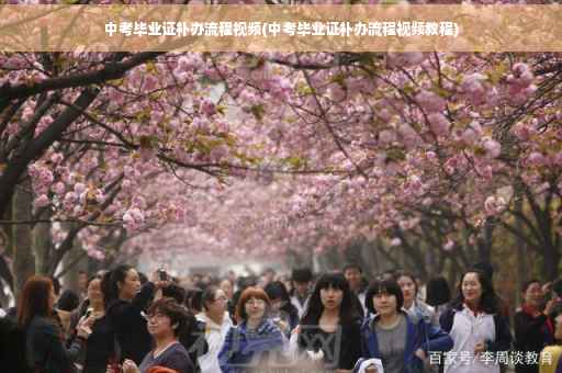 中考毕业证补办流程视频(中考毕业证补办流程视频教程)
