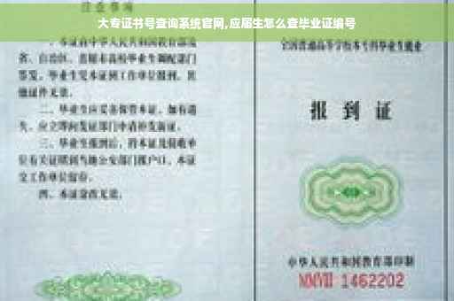 大专证书号查询系统官网,应届生怎么查毕业证编号