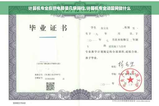 计算机专业在供电局是几级岗位,计算机专业进国网做什么