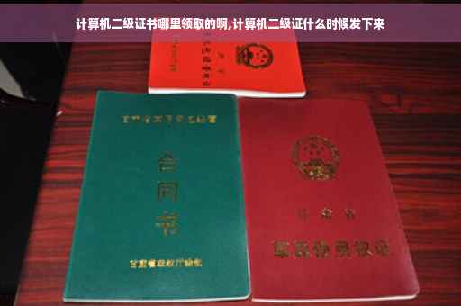 计算机二级证书哪里领取的啊,计算机二级证什么时候发下来
