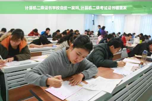 计算机二级证书学校会统一发吗,计算机二级考试证书哪里发