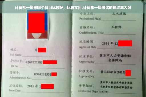 计算机一级考哪个科目比较好，比较实用,计算机一级考试的通过率大吗