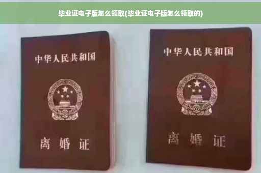 毕业证电子版怎么领取(毕业证电子版怎么领取的)