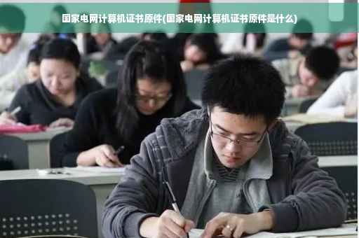 国家电网计算机证书原件(国家电网计算机证书原件是什么)