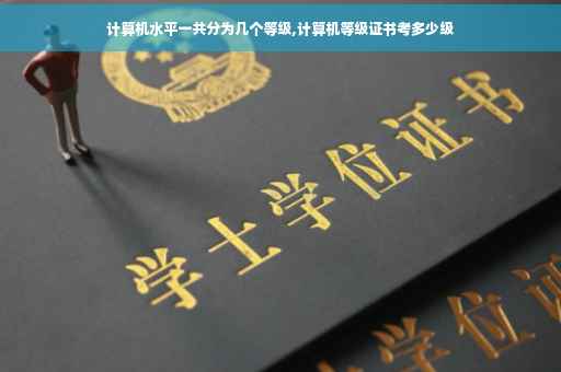 计算机水平一共分为几个等级,计算机等级证书考多少级