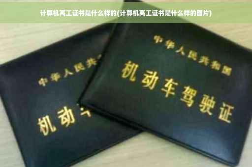 计算机高工证书是什么样的(计算机高工证书是什么样的图片)