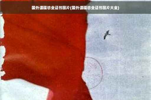 国外课程毕业证书图片(国外课程毕业证书图片大全)