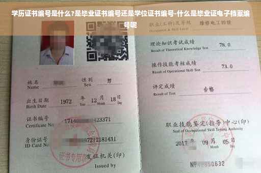学历证书编号是什么?是毕业证书编号还是学位证书编号-什么是毕业证电子档案编号呢