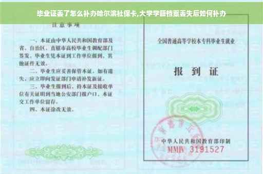 毕业证丢了怎么补办哈尔滨社保卡,大学学籍档案丢失后如何补办