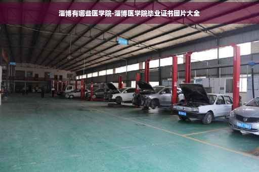 淄博有哪些医学院-淄博医学院毕业证书图片大全