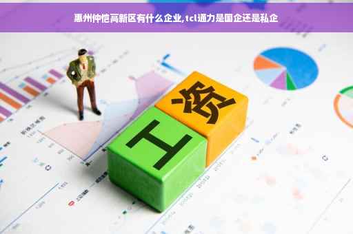 惠州仲恺高新区有什么企业,tcl通力是国企还是私企