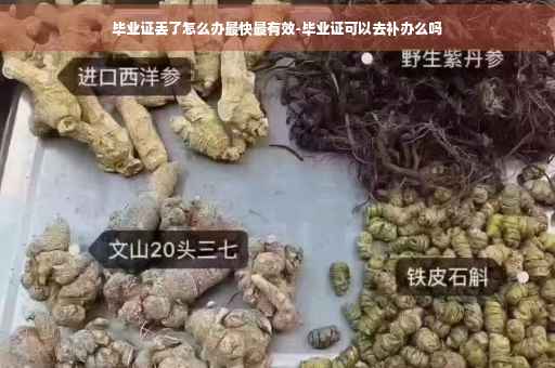 毕业证丢了怎么办最快最有效-毕业证可以去补办么吗